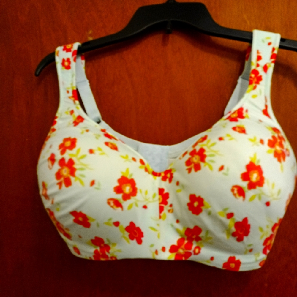 NWT bra
